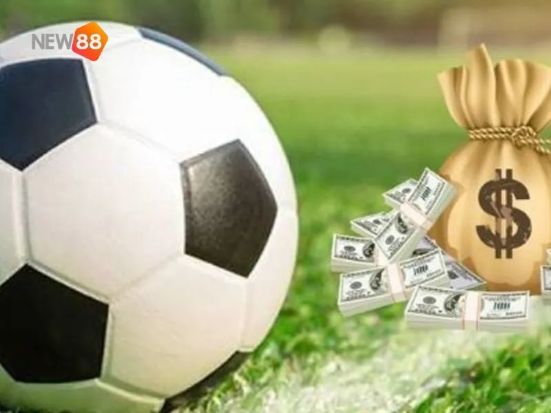 Cách chạy xiên cược hay, cơ hội lợi nhuận lớn